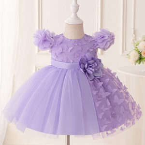Elegant Newborn Baby Girl Dress (6M-3Y)