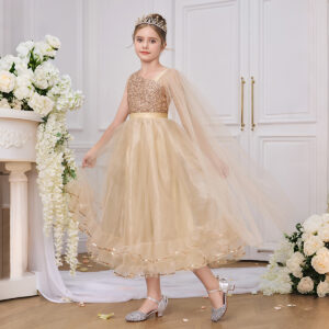 New Design Birthday Ball Gown Dress (8Y - 10Y)